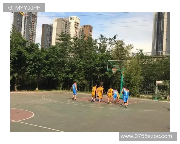 张芳独家分享篮球心得与技巧揭秘助你提升球技的秘密之道