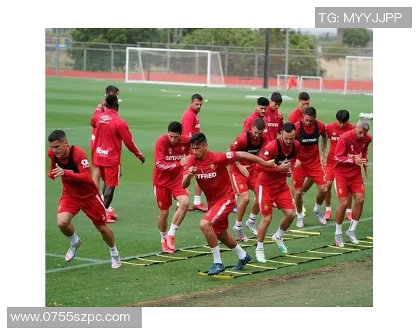 南京乒乓球队灵活性引发热议球迷与专家观点交锋不断