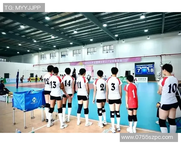 排球盛宴:深入了解上海排球队的默契与团队精神 排球盛宴:深入了解上海排球队的默契与团队精神